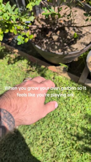 Grow Your Own Garden in ARK: Survival Evolved