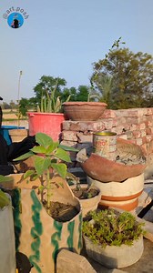 460K views · 21K reactions | DIY Paint Tin Craft with Jute Rope |...