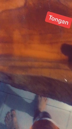 #duet #tonga #tonga #foryoupage #foryoupage #foryou #foryou #tongn #tongn #fyp #fyp #tongn #fyp #NHLFaceOff #ZodiacSign #MoneyTok