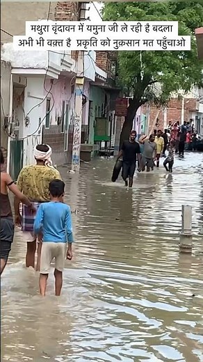 यमुना जी को दोष देने बालों हमने ही तो प्रकृति को नुक़सान पहुँचाया है #flood2023 #shorts #vrindavan