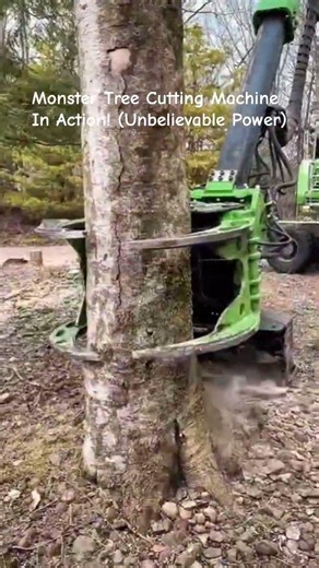 Monster Tree Cutting Machine In Action! (Unbelievable Power)