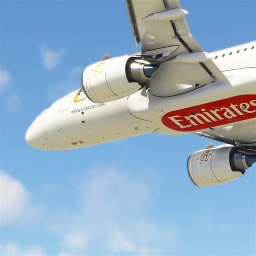 The Most Dangerous Flight Emirates 89