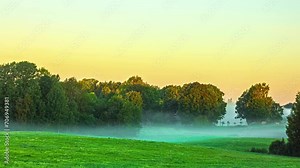 Mysterious fog time lapse, reveal clear sky and green forest landscape in woods
