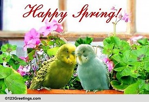 Birds Of Spring!