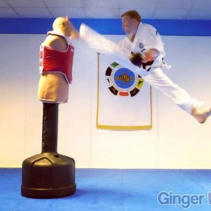 3K views · 215 reactions | NEW Sampler will be up TONIGHT! 6:30pm UK TimeTEAM GNT!  #teamgnt #gnt #gingerninjatrickster #martialarts #taekwondo #kicks #kicking #kick #flip #flips #training #tricking #fun #newsampler | Ginger Ninja Trickster | Facebook