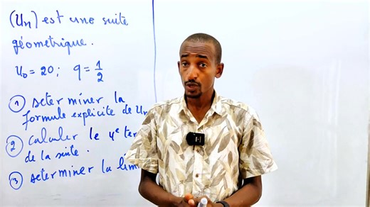 Comprendre les suites géométriques en mathématiques