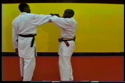 Professor David James Vee Arnis Jitsu Self Defense Against A Gun Part 5. This is from his instructional video series at www.blackandbluevideo.com #veearnisjitsu #DavidJames #selfdefense #selfdefensetraining #blackandbluevideo | Wally Faulkner