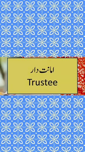 Common English Vocabulary for Daily Use