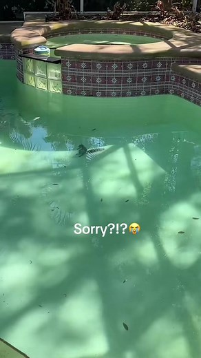 What’s bro doing? 😭 (🎥:@Mak) | squirrel