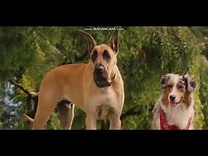 “Animals” (Cars) Trailer