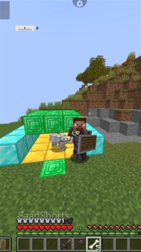 Noob Vs Pro Vs Hacker In Taming Dog #shorts