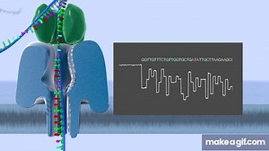 Sequencing DNA (or RNA) | Real-time, Ultra Long-Reads, Scalable Technology from Oxford Nanopore on Make a GIF