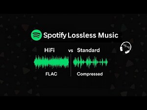 Spotify Lossless Audio | Experience High-Quality Music Streaming on Premium | newsdrift