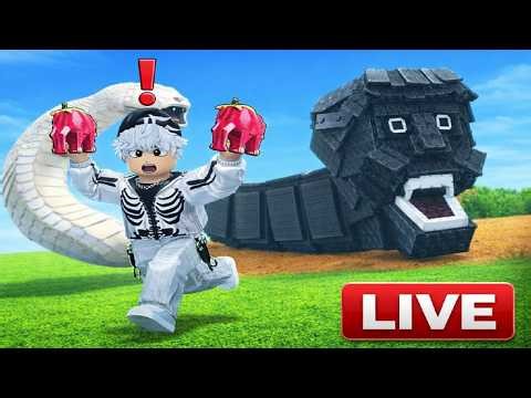 🔴Thedisp Live stream