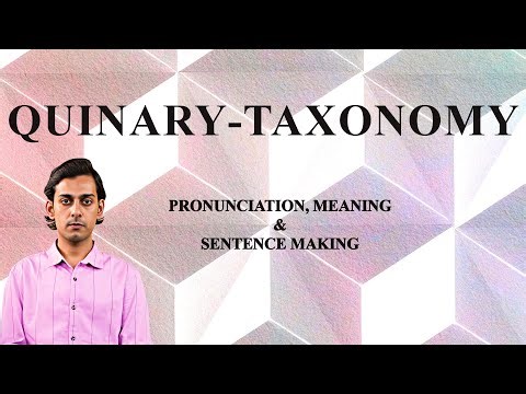 Quinary‑Taxonomy - Meaning_&_Pronunciation_Word_World_Audio_Video_Dictionary