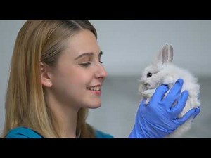 GE Stevenson April 2021 Experiment: Rabbit Effect Kindness a Healing Gospel Principle