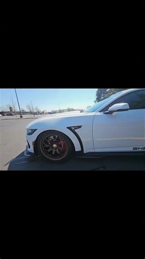 This Shelby Super Snake is insane #mustangs #shelby #carsofyoutube