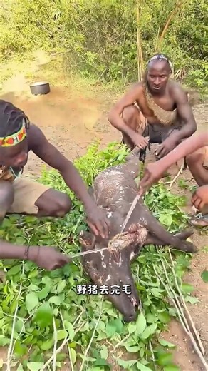 Hadzabe tribe vlog #hadzabetribe #africantribe #africanculture