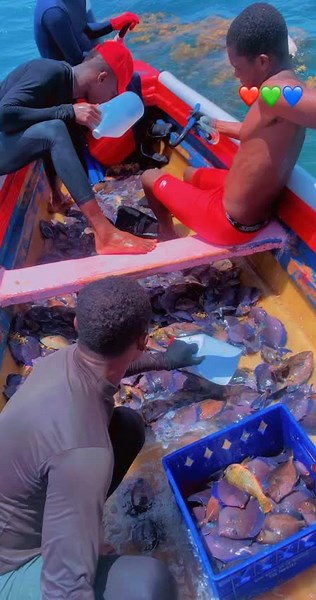 amba_gad6 (@amba_gad6)’s videos with original sound - amba_gad6