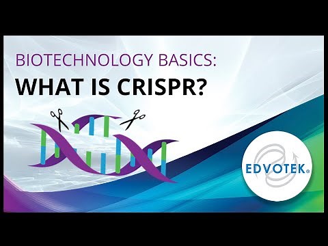 Biotechnology Basics: What is CRISPR?
