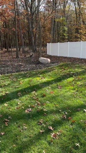 Black Aluminum Pool Fence & White Vinyl Fence Full Privacy Fence Installation - Wiler Fence Company