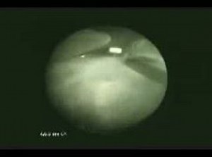 Процесс внутри камеры сгорания