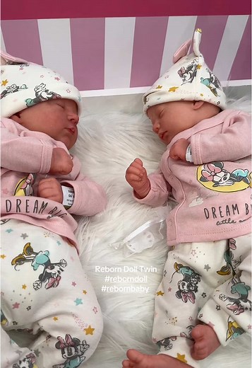 Lifelike Twin Reborn Dolls for Collectors and Nurturers