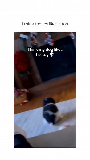 Paws and Threads on Instagram: "Hey anime fans! Welcome to Kawaii Collectables—where we make your favorite anime characters live on clothing, and we’re all broke together. 🛍️💸 #AnimeCommunity #Animememes #AnimeMerch"