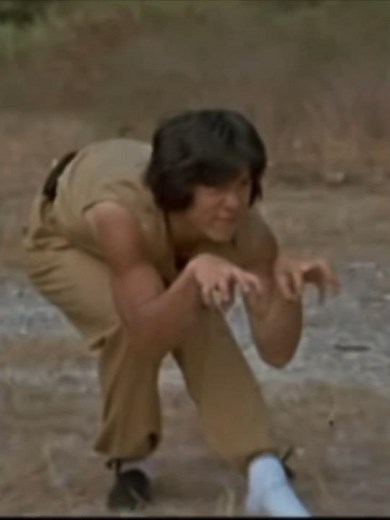 “Cat Fight”! In Snake in the Eagle's Shadow 1978 with Jackie Chan & Director Woo-Ping Yuen #cat