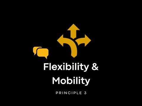 Open Dialogue Principle 3: Flexibility and Mobility