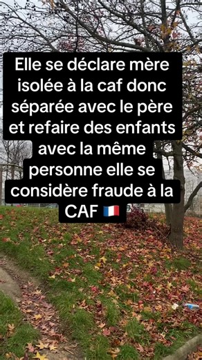 Fraude à la CAF : Mère isolée et relation compliquée