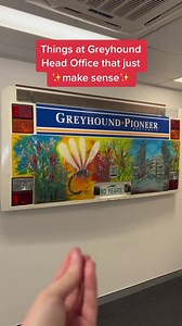 22 reactions | Greyhound Australia on Reels | Facebook