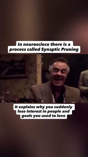 synaptic puring