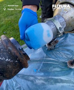 355K views · 626 reactions | [烙] Un drôle de tube bleu permettant de...