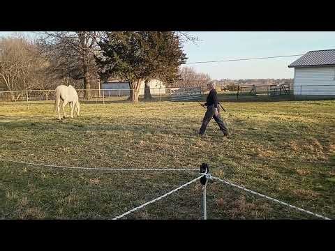 Second try, Duee turns and comes in