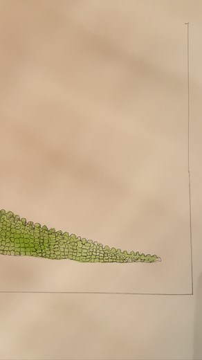 Catch you later alligator. #alligators could be. Tri-fold card coming soon to @wayne_art_center’s Gallery Shop and @studiofloramainline | Ann O'Brien