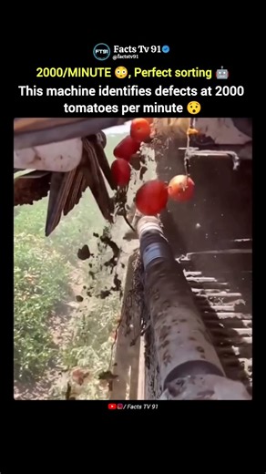 This Machine Sees Bad Tomatoes Instantly 🍅😳