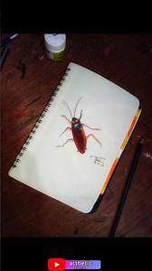 3d cockroach paint #viral #youtube #art #shortvideo