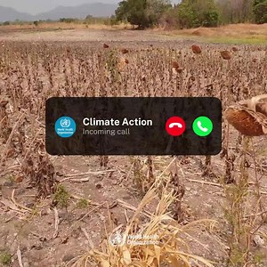 1.4M views · 65K reactions | It's World Humanitarian Day! While COVID-19 is far from over, the climate crisis continues to be the biggest health threat facing humanity.⁣ 掠 heat waves⁣  floods⁣  droughts⁣ take thousands of lives, force displacement, exacerbate food insecurity, hunger and malnutrition.⁣ ⁣Take the Climate Action call ☎️ and join The Human Race to safeguard our health and the world! | World Health Organization (WHO) | Facebook
