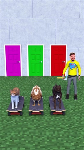 Fun Learning with Cartoon Animation for Kids