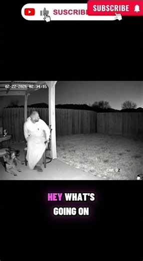 Midnight Intruder: Brave Dog Drives Off Mountain Lion