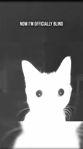 This is how I became OFFICIALLY blind #minecraft