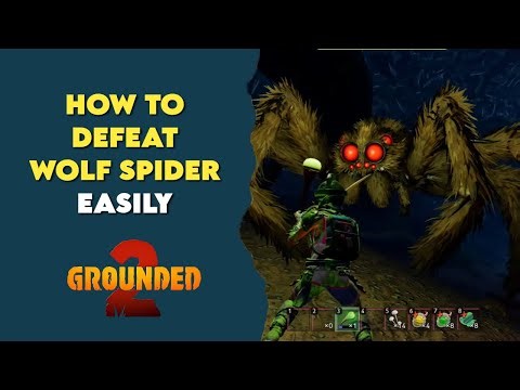 Grounded 2 Tutorial: How To Easily Beat Wolf Spiders