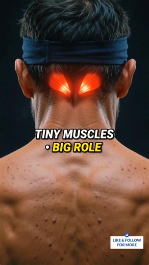 🧠 Tiny Muscles Behind Your Skull With a Big Job | Suboccipital Muscles #Shorts