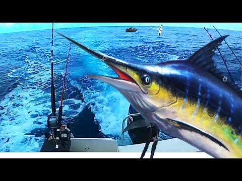 Pêche Aux Gros à l'île de la Réunion 3 Marlins SEA FISHING 974