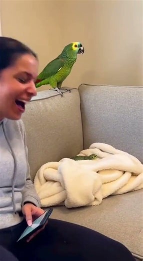 Parrot Throws Lizard at Sleeping Dog – What Happens Next Is Hilarious! 😂🐶🦜