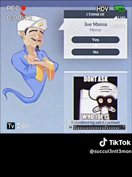 Guessing the Crichton Leprechaun with Akinator