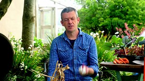 55 reactions · 7 comments | There's no better feeling than putting your own, homegrown food on the table. Learn all the tips and tricks with this FREE online course, when you purchase the special "How Food Grows" GROWBox from GIY. | GIY | Facebook