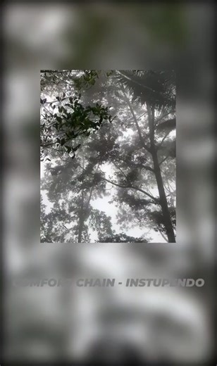 JUDUL : comfort chain slowed request lagu #fyppppppppppppppppppppppp #comfort #chain