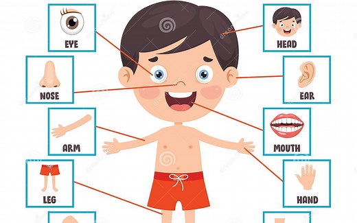 Body Parts for Kids Kids Learning Videos